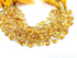Warm Honey Yellow Citrine Faceted Flat Heart Briolettes, (CIT10HRT )